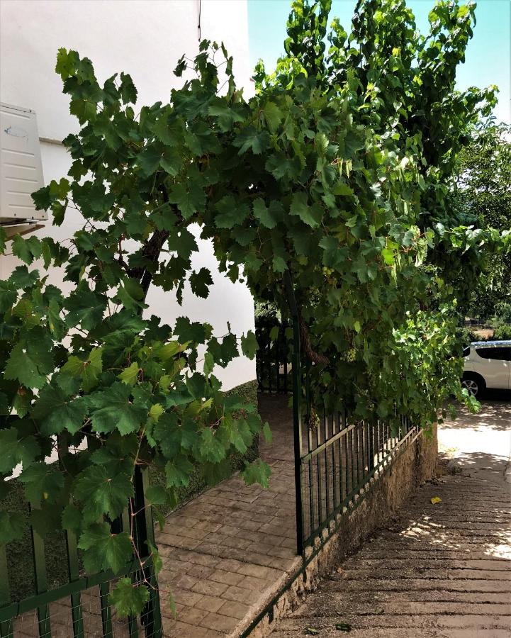 Alojamientos Loma De Mariangela Coto Rios Eksteriør bilde